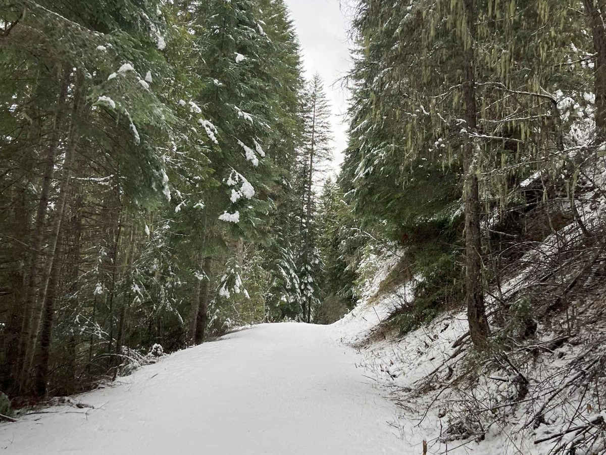 8248 OHV Dredge Trail photo 2