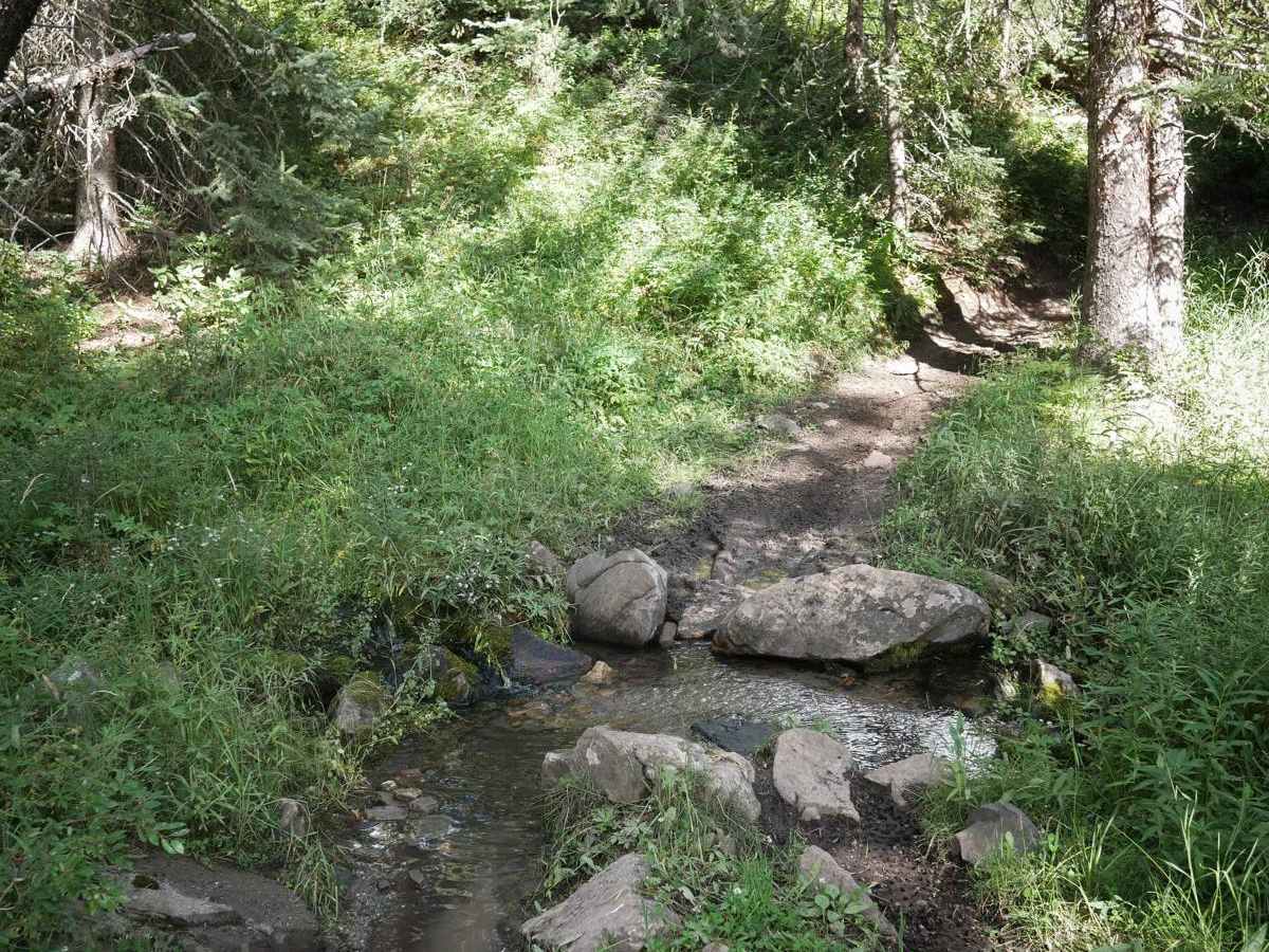 Porcupine Creek #34 photo 2
