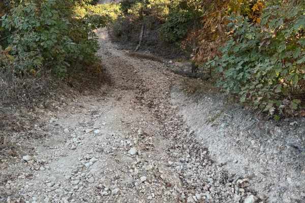 Lost Bridge Trail 43