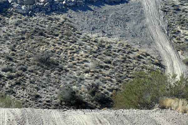Kingman Rollercoaster