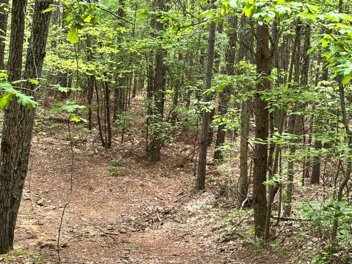 417E photo 2