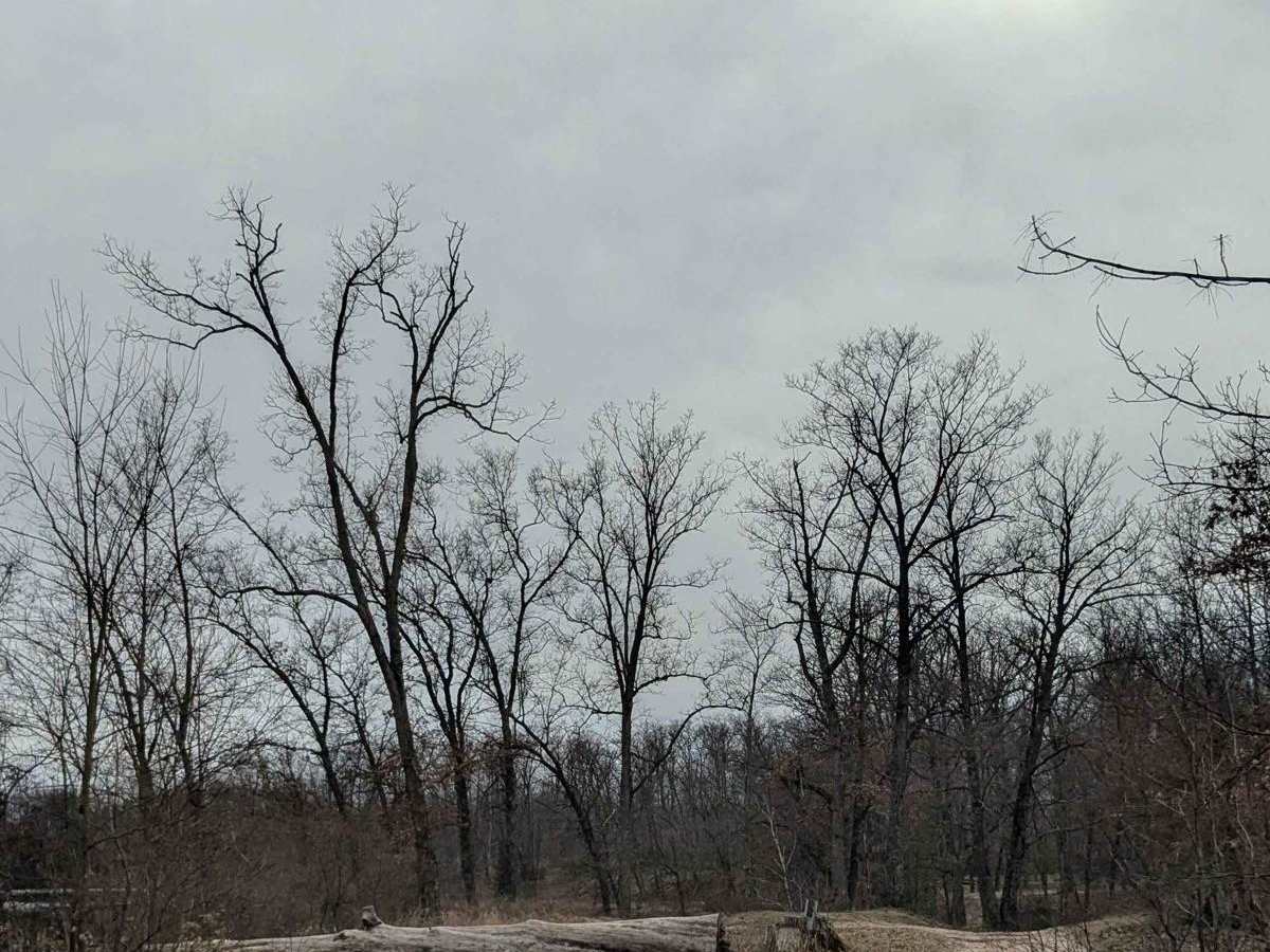 Dunham Lake Trail photo 6