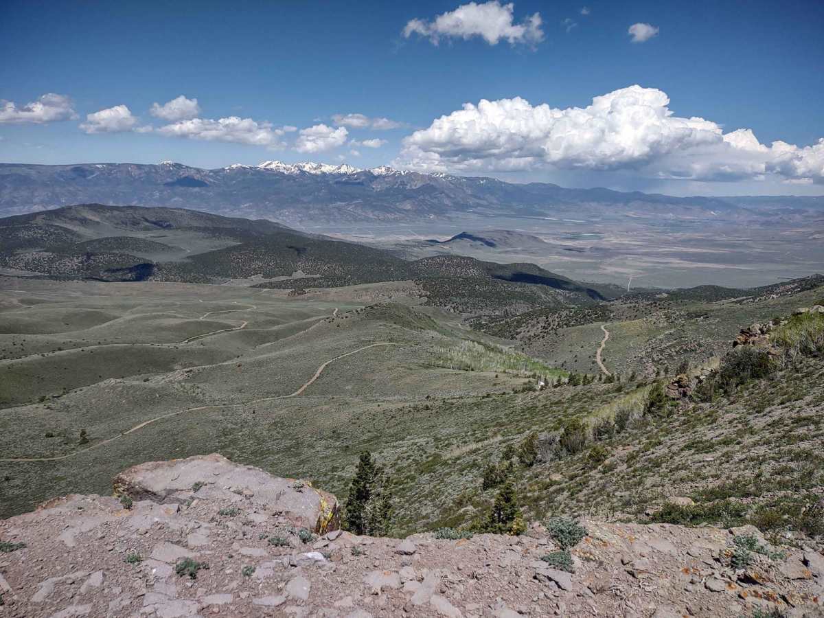 Forshea Mountain Overlook Loop trail photo