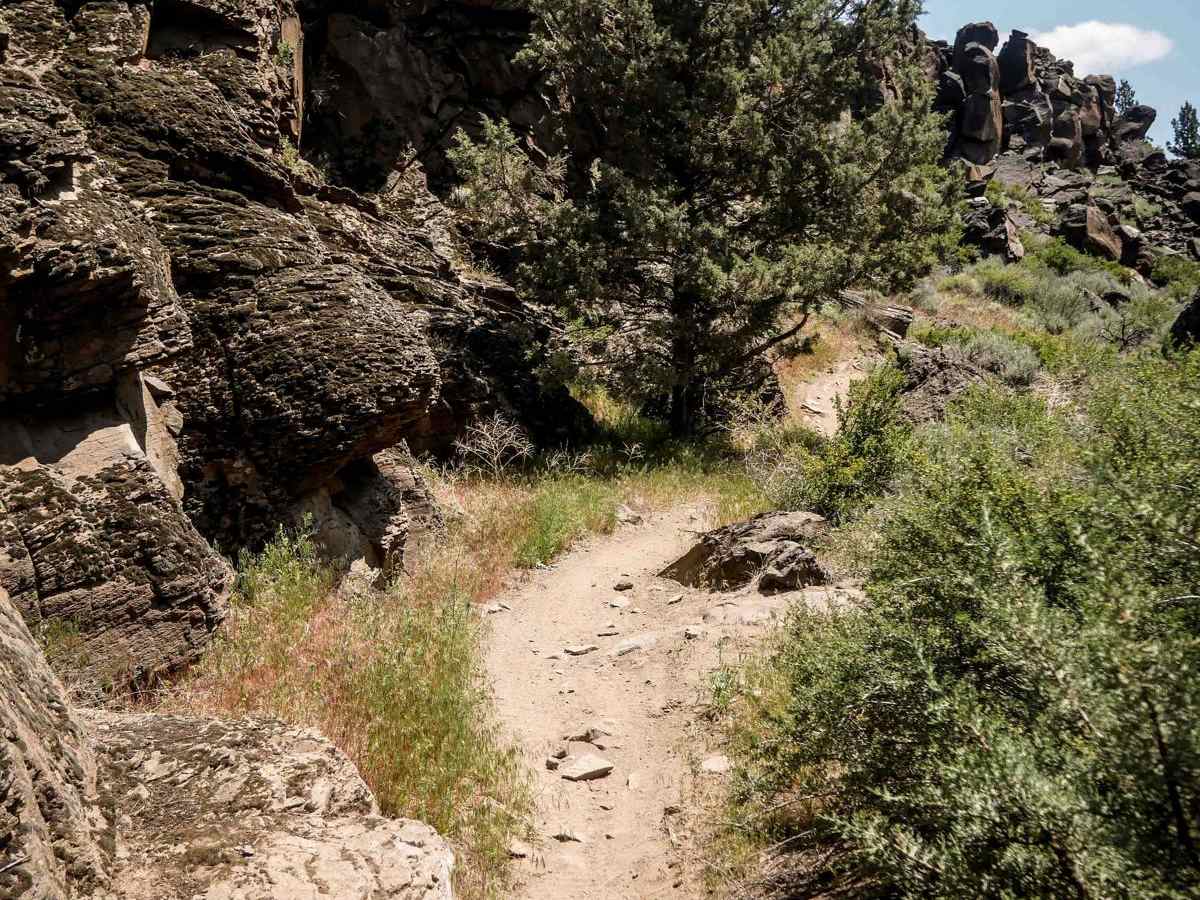 15 trail photo