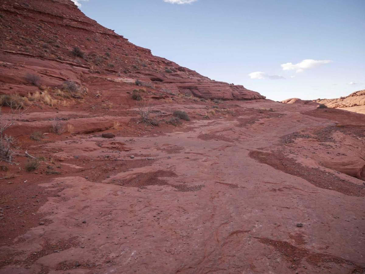 Brian's Trail photo 5