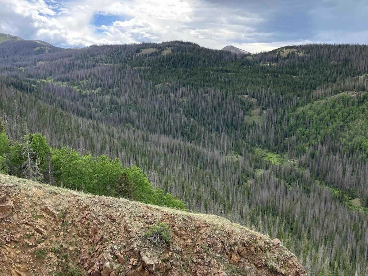 West Pinos Travers photo 4