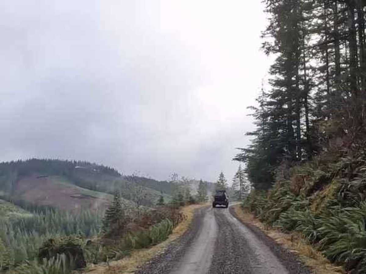 Salmonberry Railroad Tunnel Route photo 4