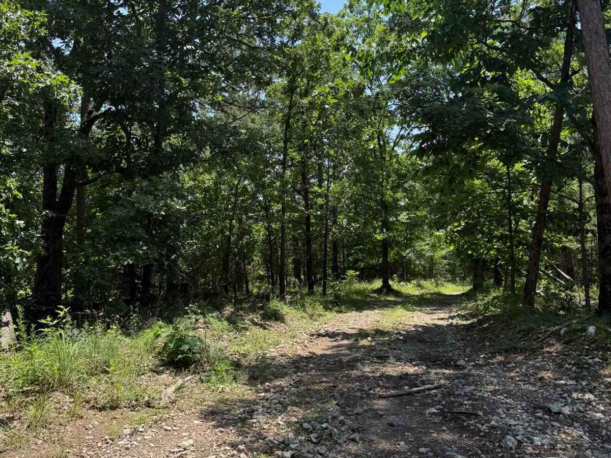 Casen's Trail trail photo