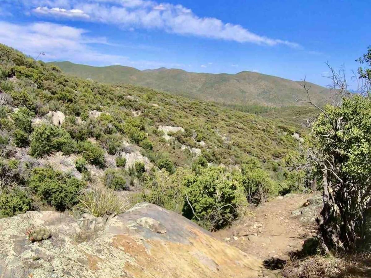 Arrastra Creek trail photo