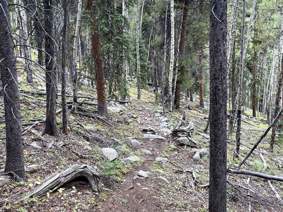 Willow Mine Trail photo 4