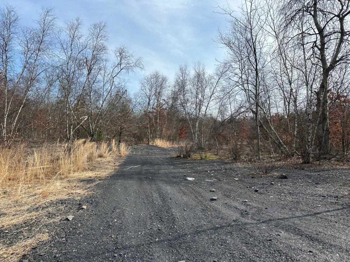 Ashland 91 trail photo