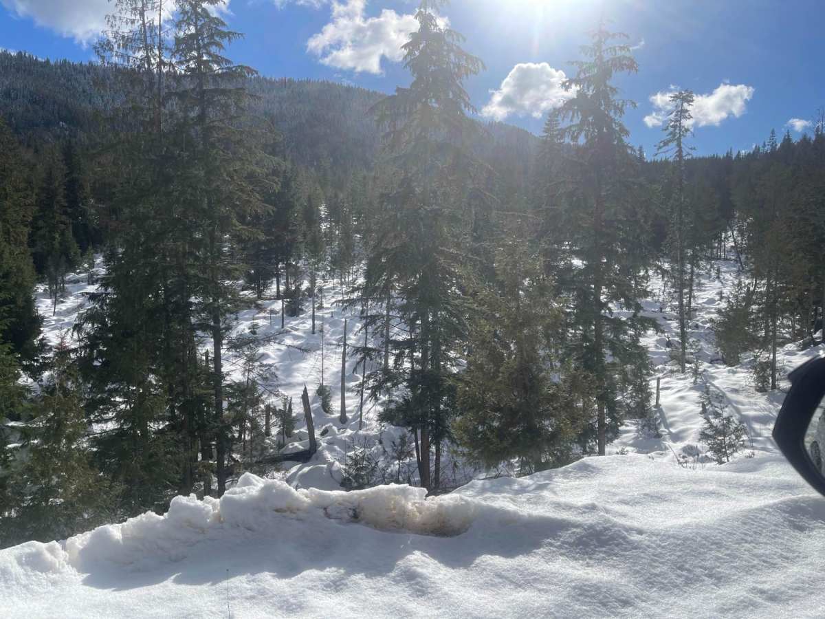 Quartz Creek 416 photo 3