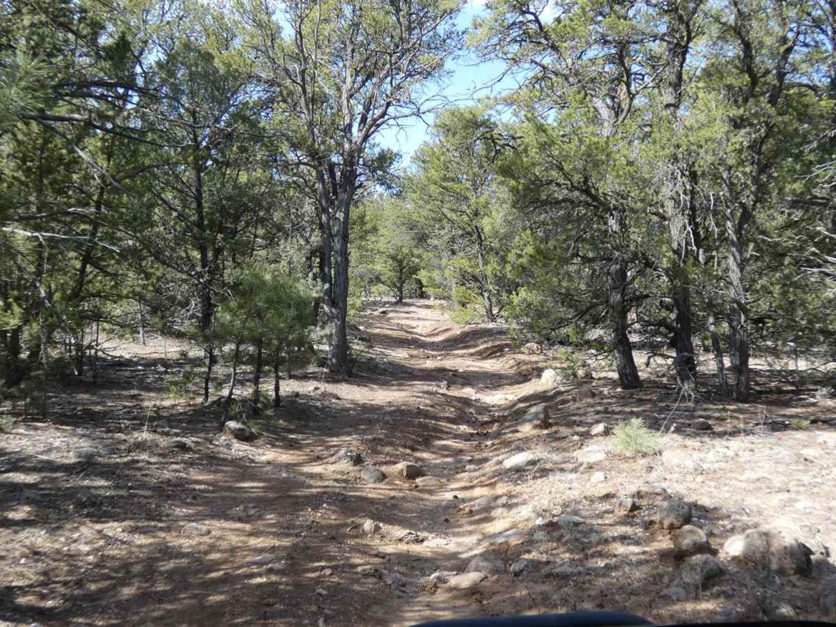 La Madera Loop FSR-222E photo 5