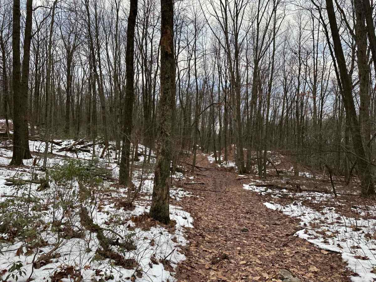 Ashland 182 photo 3