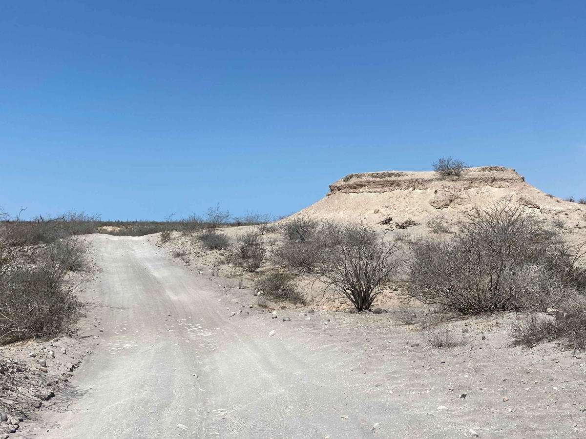 Santa Rita Loop photo 3