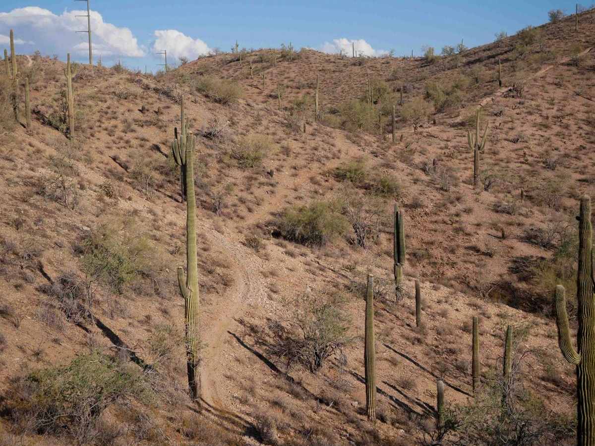 LP2 trail photo