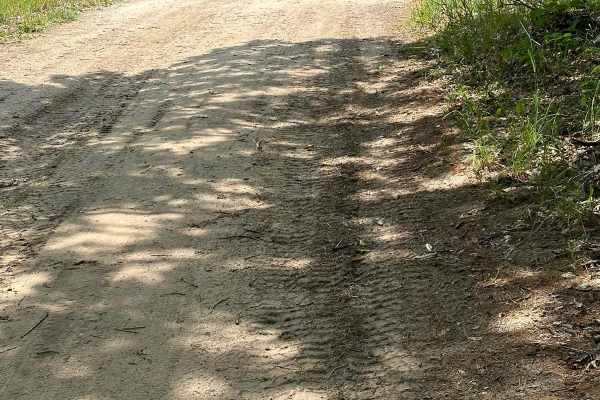 Rogers Road - Trail 58421