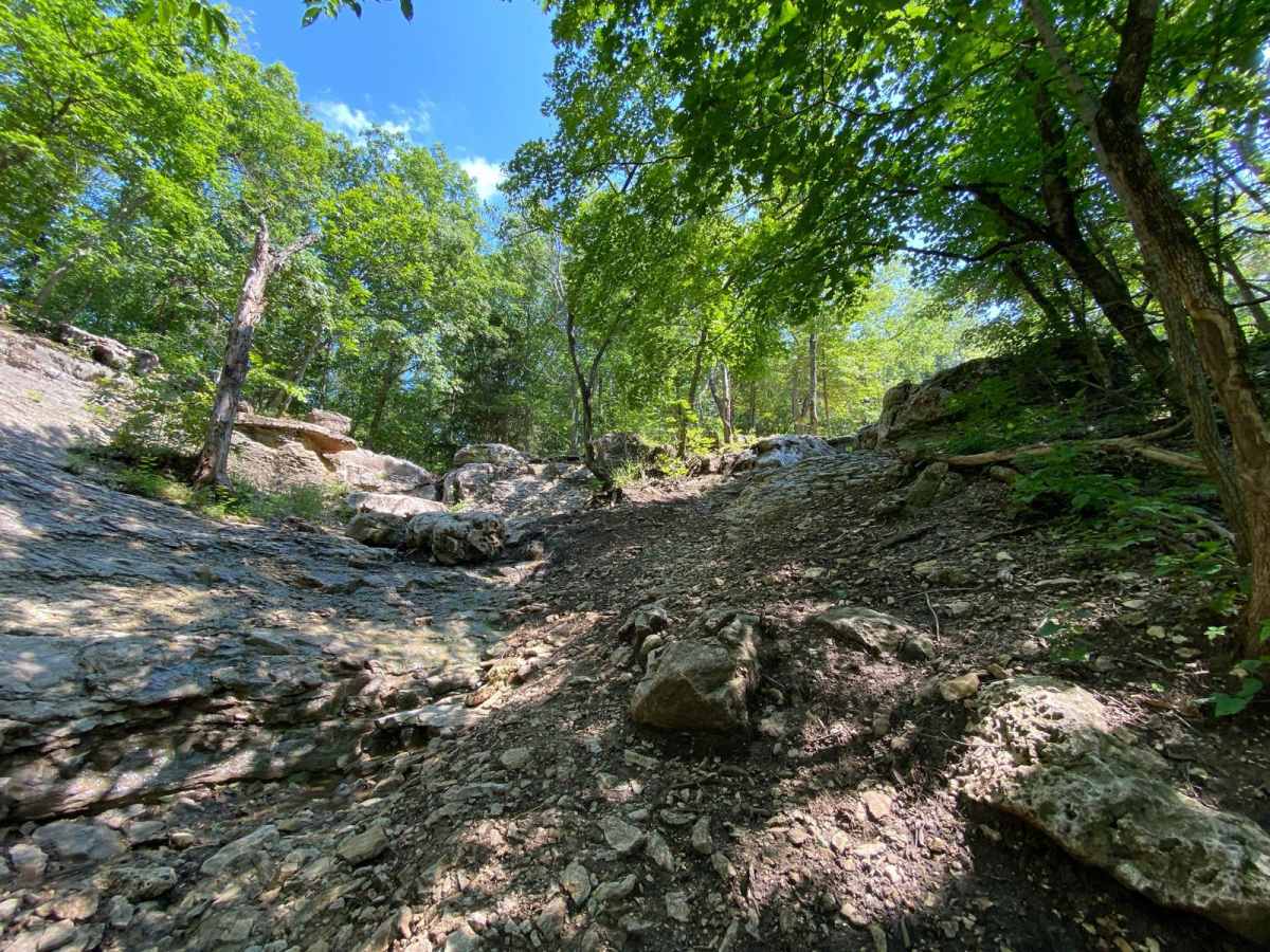 Right Out trail photo