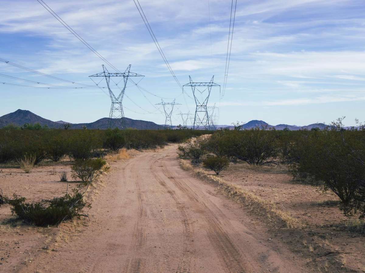 Electric Speedbump photo 6