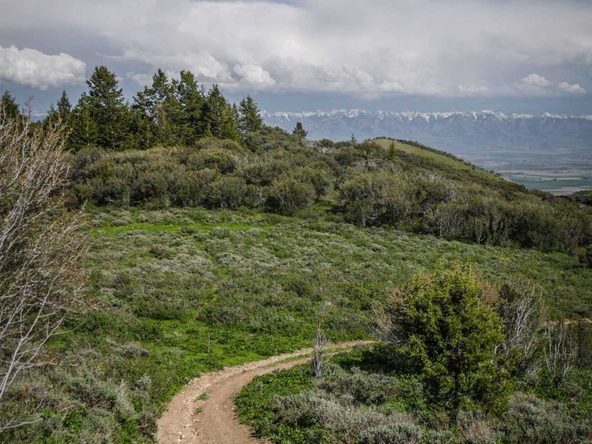 Clifton Basin to Weston Peak ATV 7433 (Part 1) photo 3