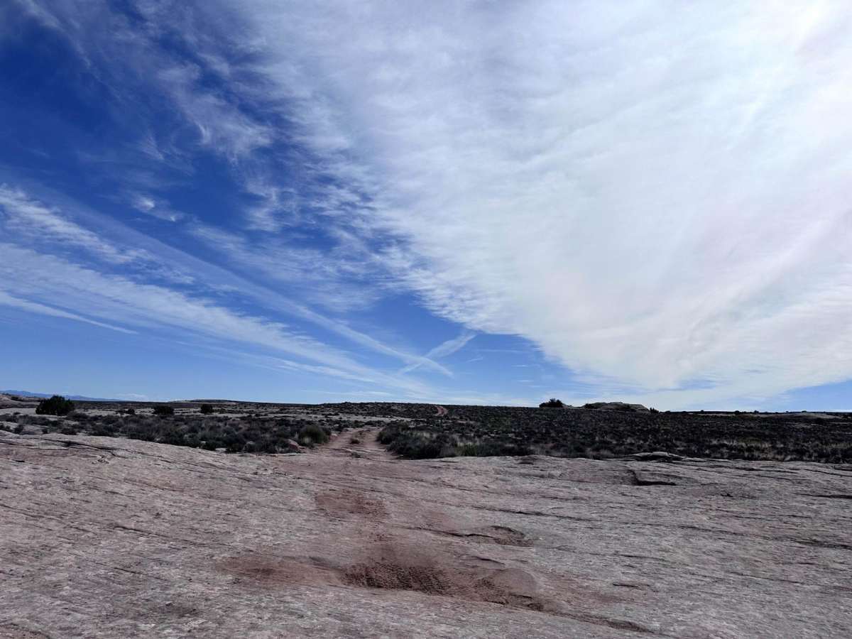 CR338 photo 2