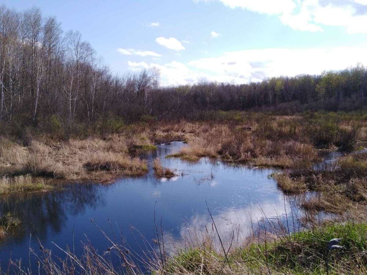 Lawler Loop Trails to Lawler photo 4