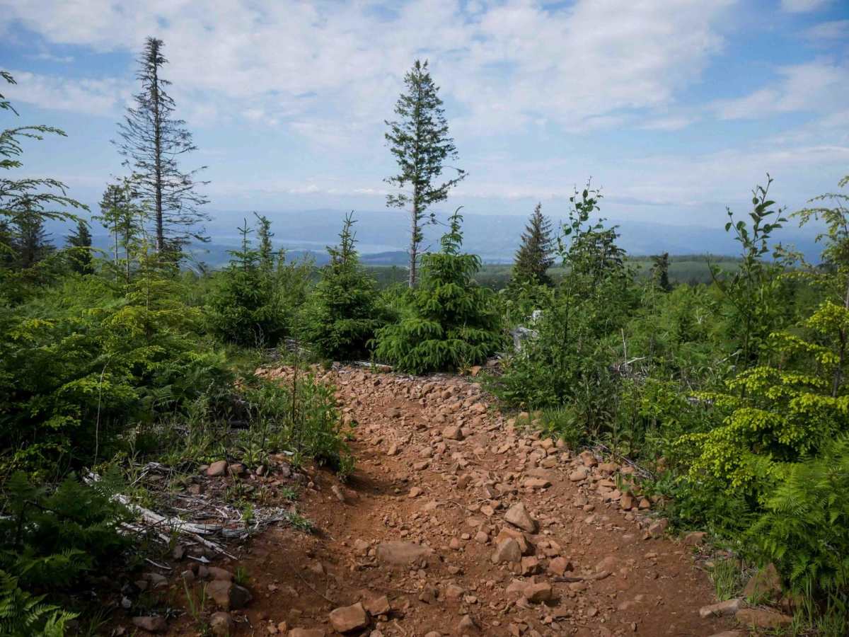 McNary Loop photo 3
