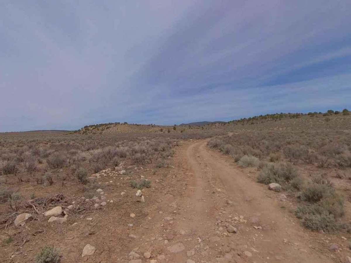 Dixie National Forest-FR31014 photo 3