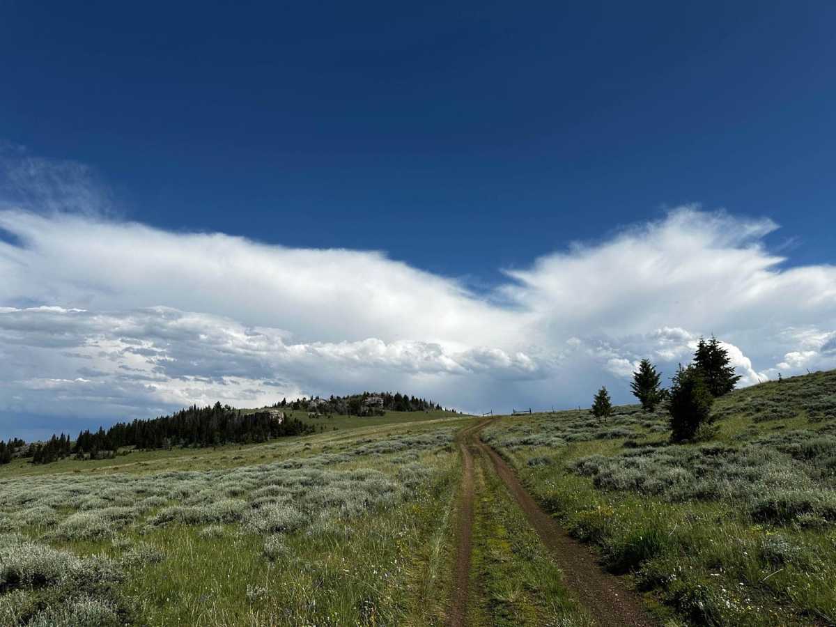 Monument Hill Access spur - FS 401.2A photo 4