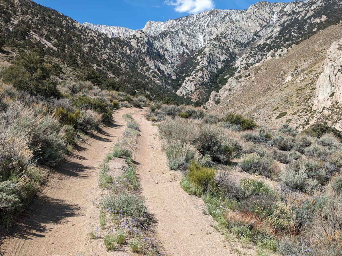 South Fork Lubken Creek Canyon Loop trail photo