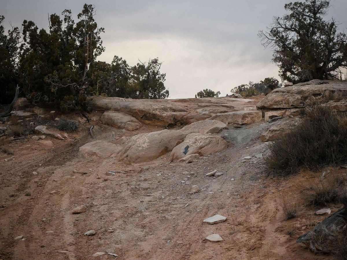 Motherload ATV Access Trail trail photo