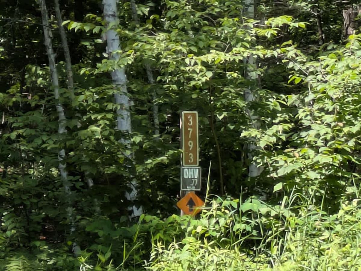 FS 3790 trail photo