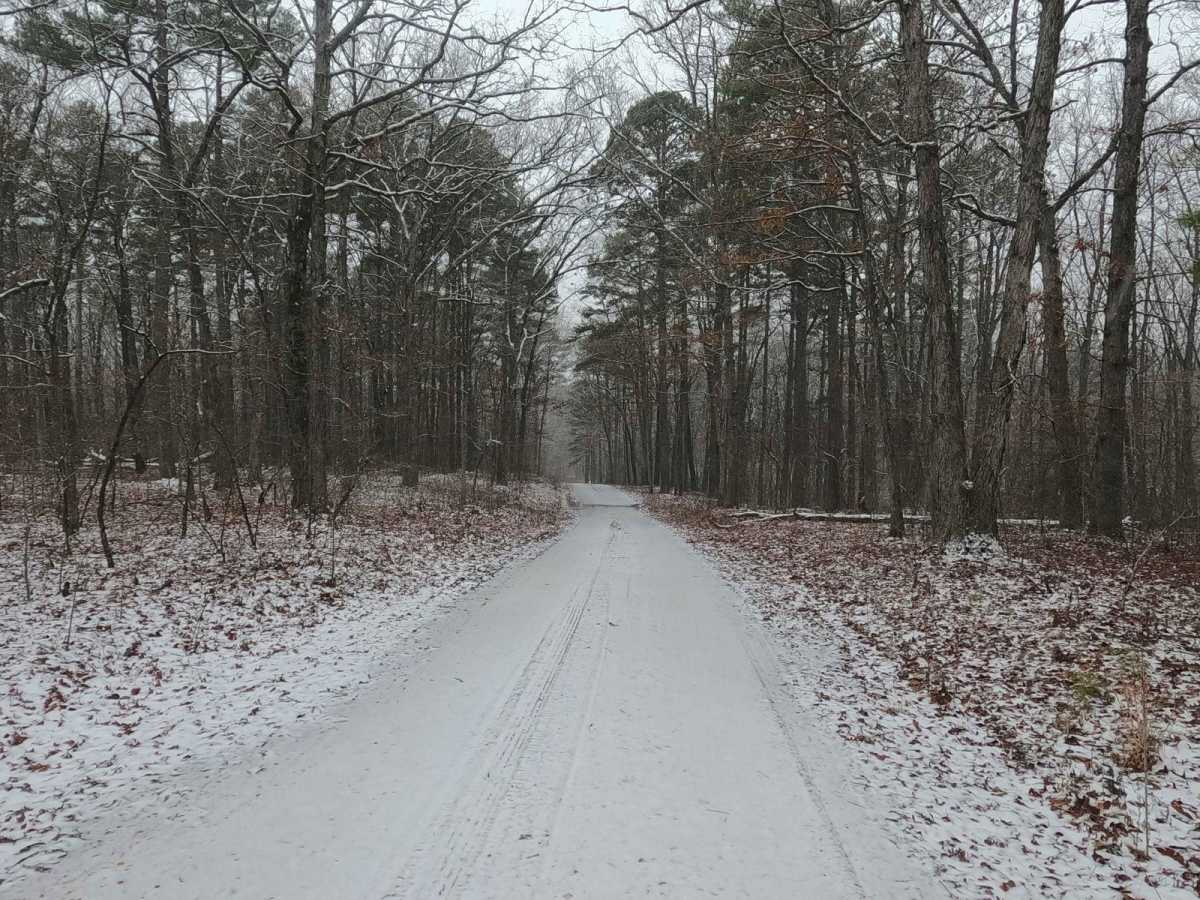 Meridian - FS 2421 photo 3