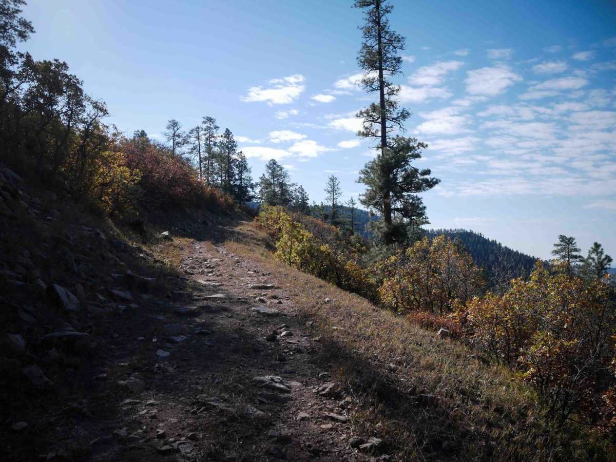 Elk Creek photo 4