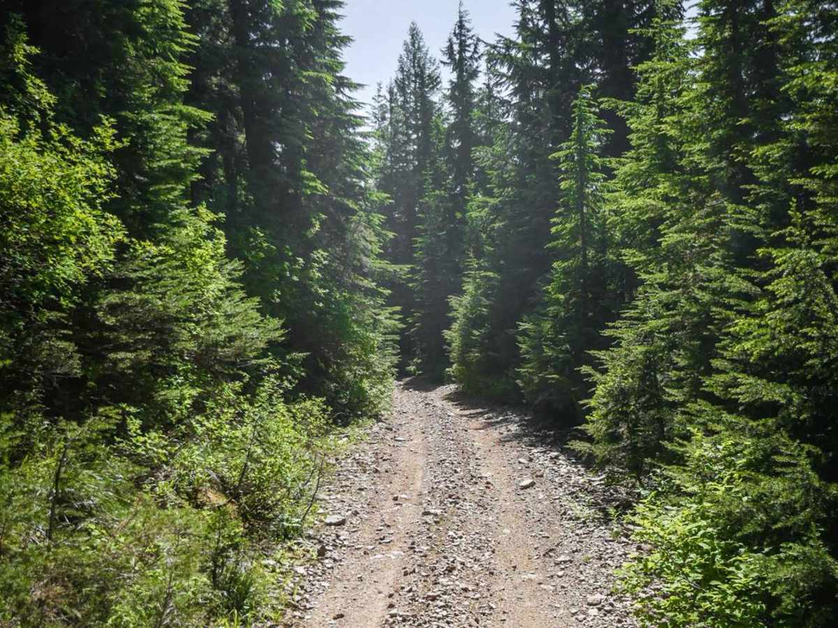 Striped Peak ATV photo 6