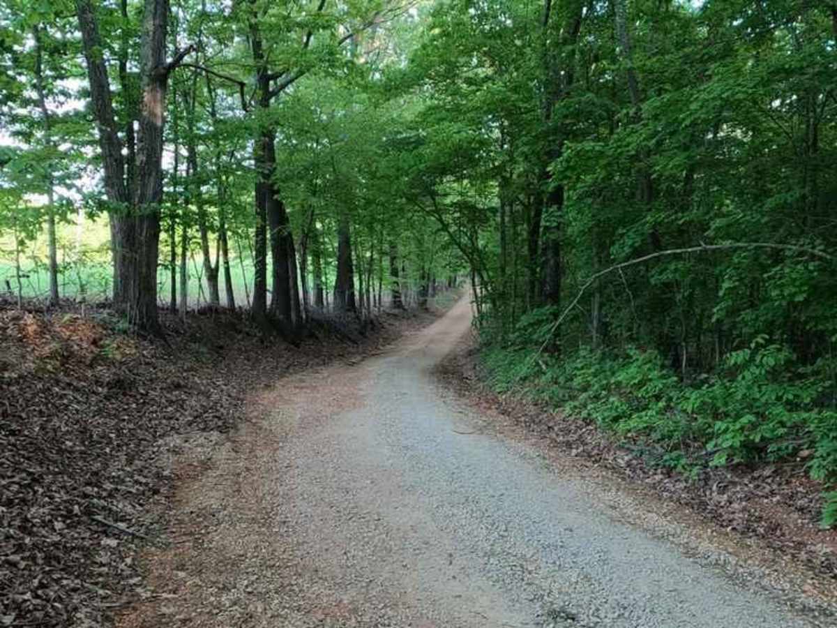Cut Off Bo-Co Road 340 photo 3