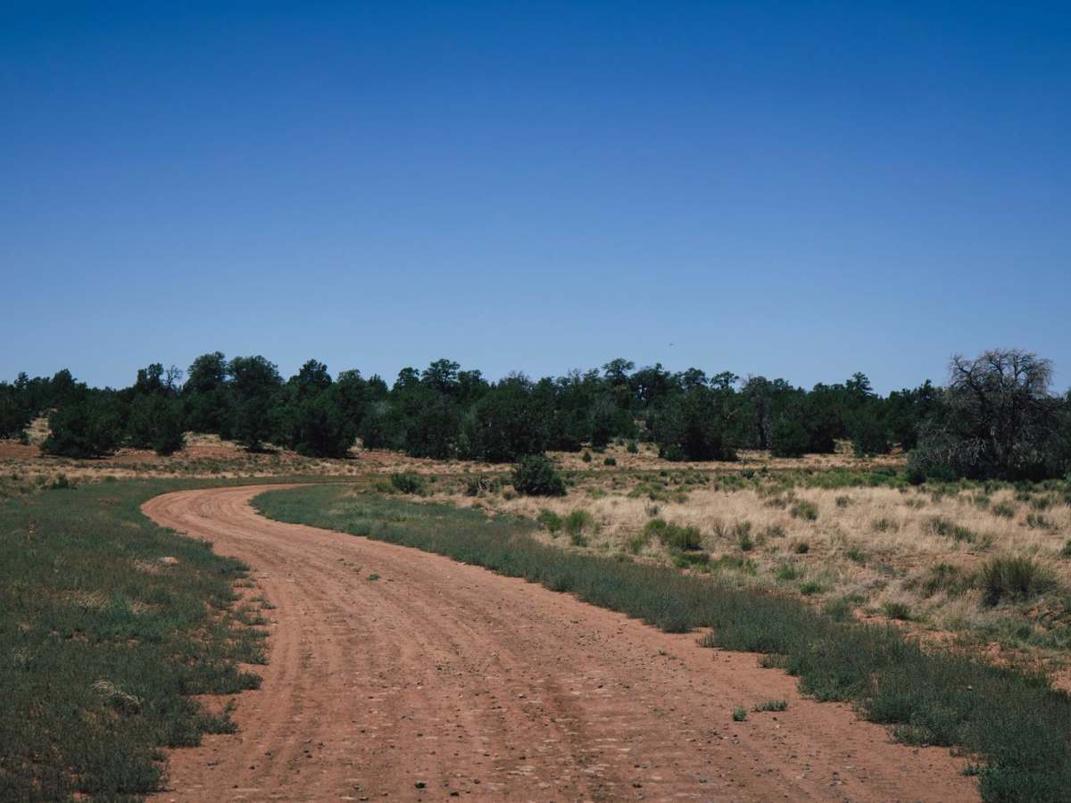 Wild Bill 7 photo 5