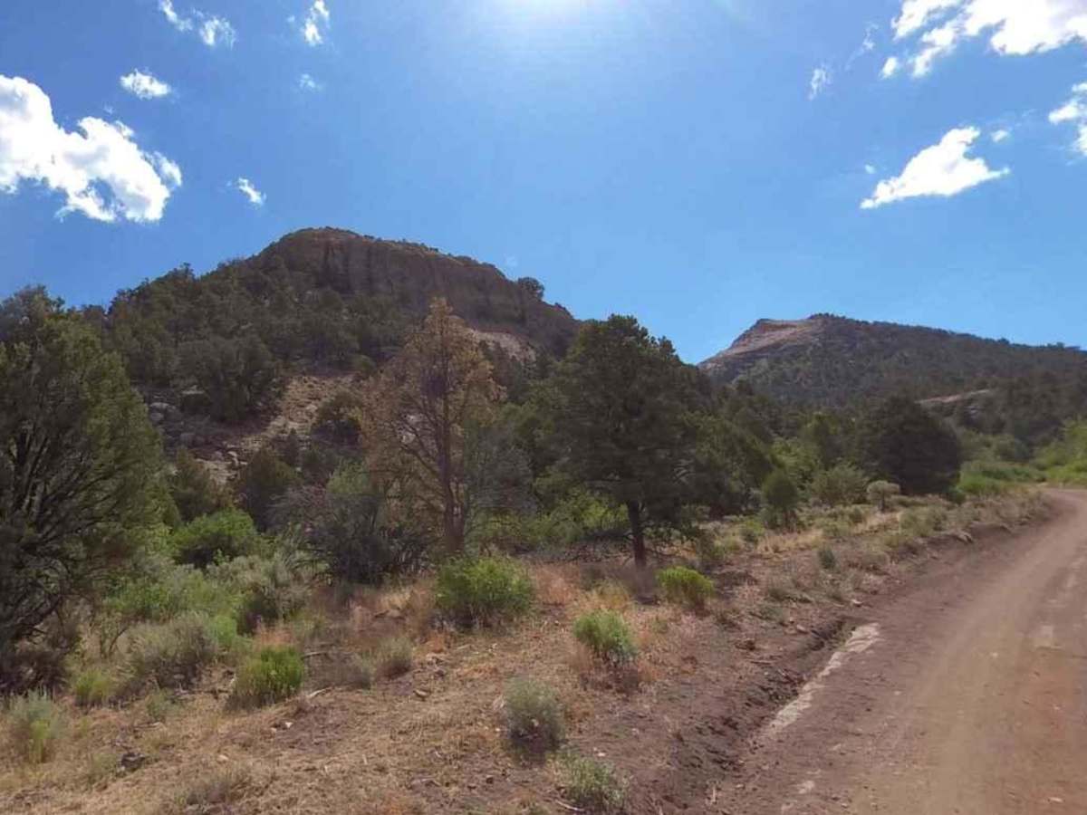 Page Ranch Road-FR30029 photo 5