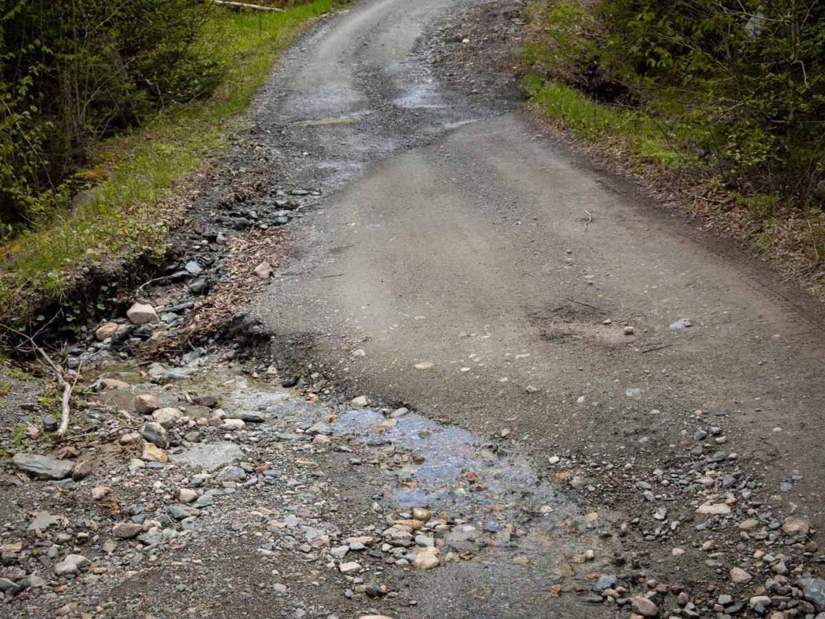 Goose Creek Road photo 5