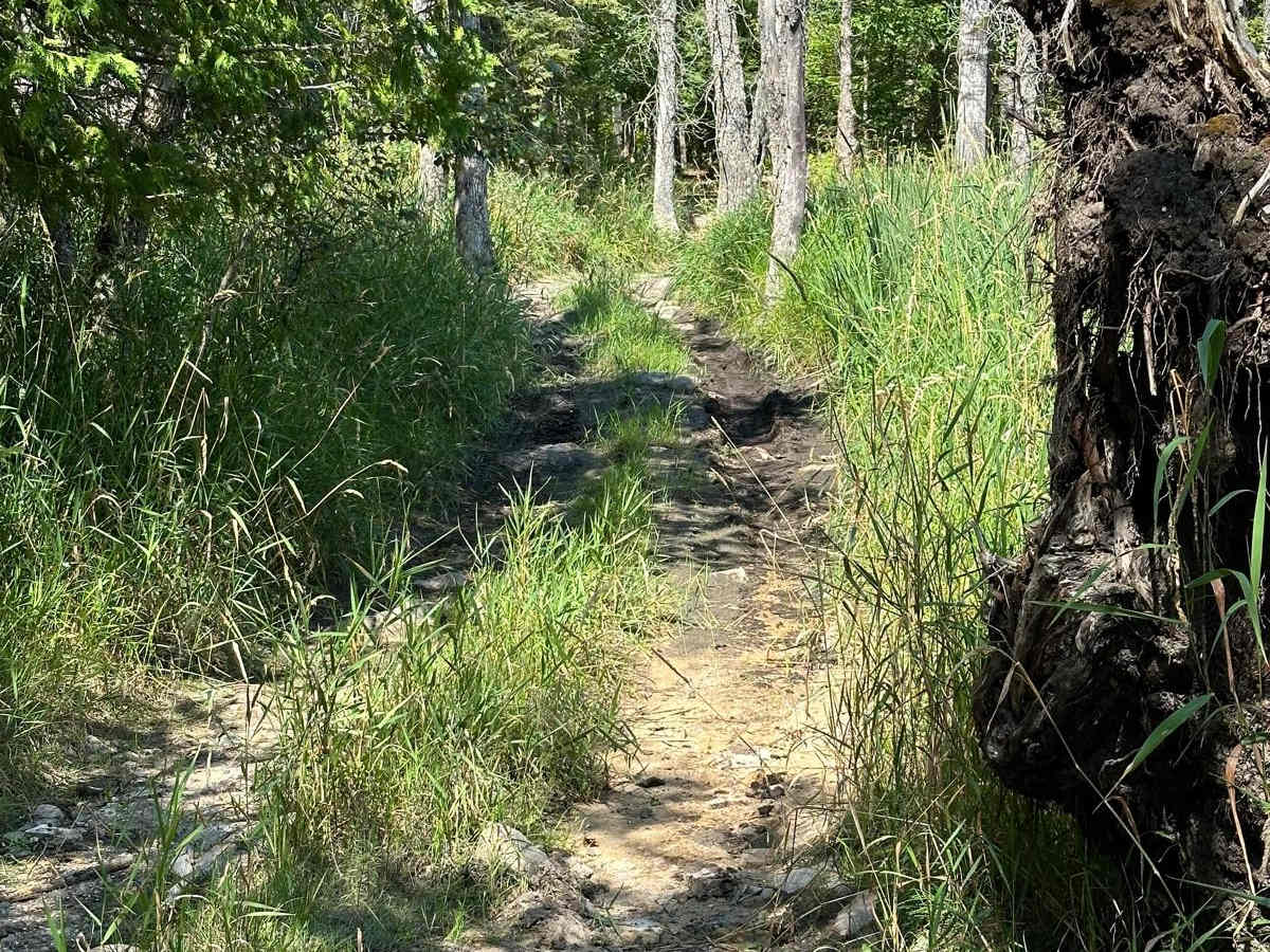 Lower Citadel photo 3
