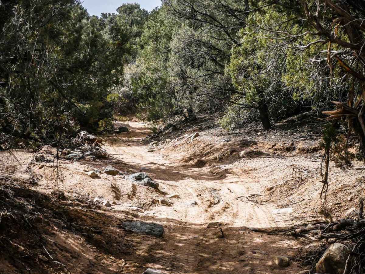 ATV Sand Wash Trail photo 6