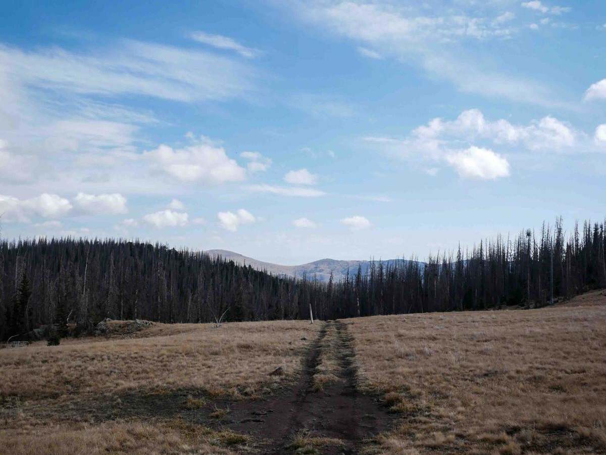 Benino ATV photo 6