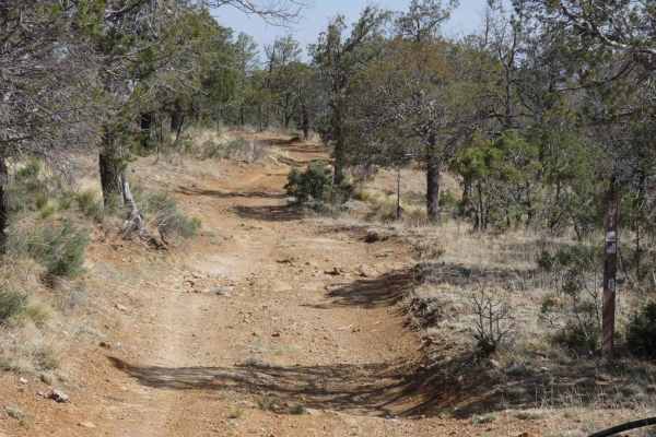 GRT/FS201: Guadalupe Rim Trail