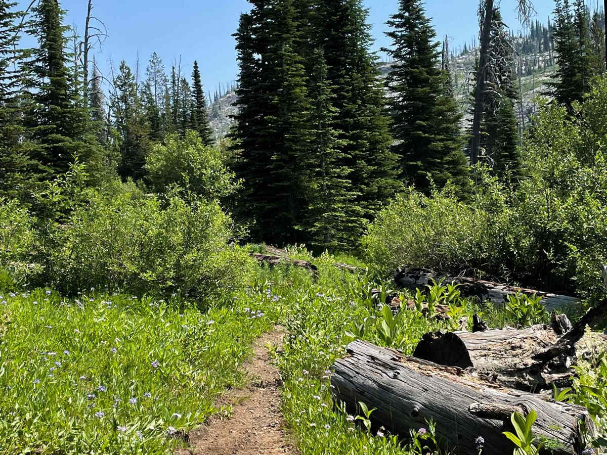 Hidden Lake Loop photo 2