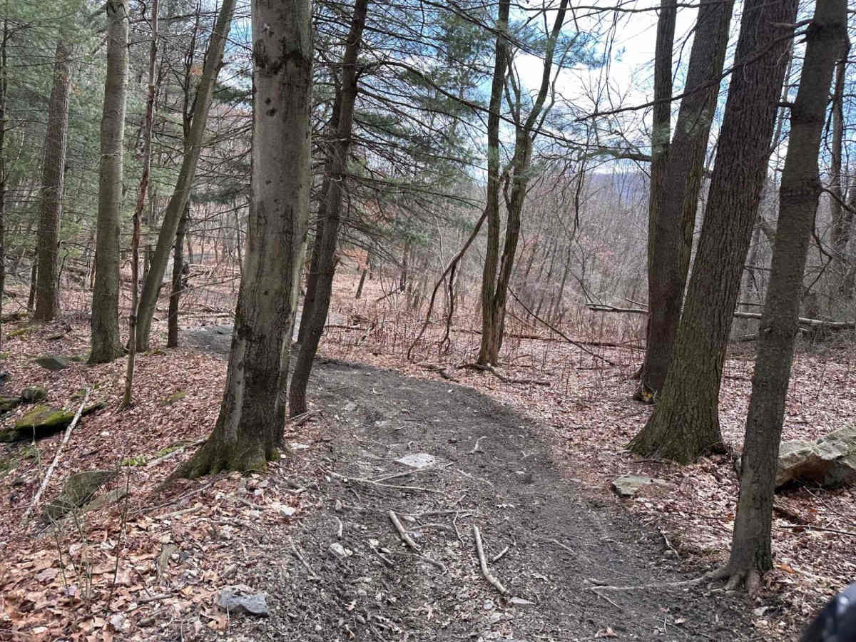 Ashland 147 photo 3