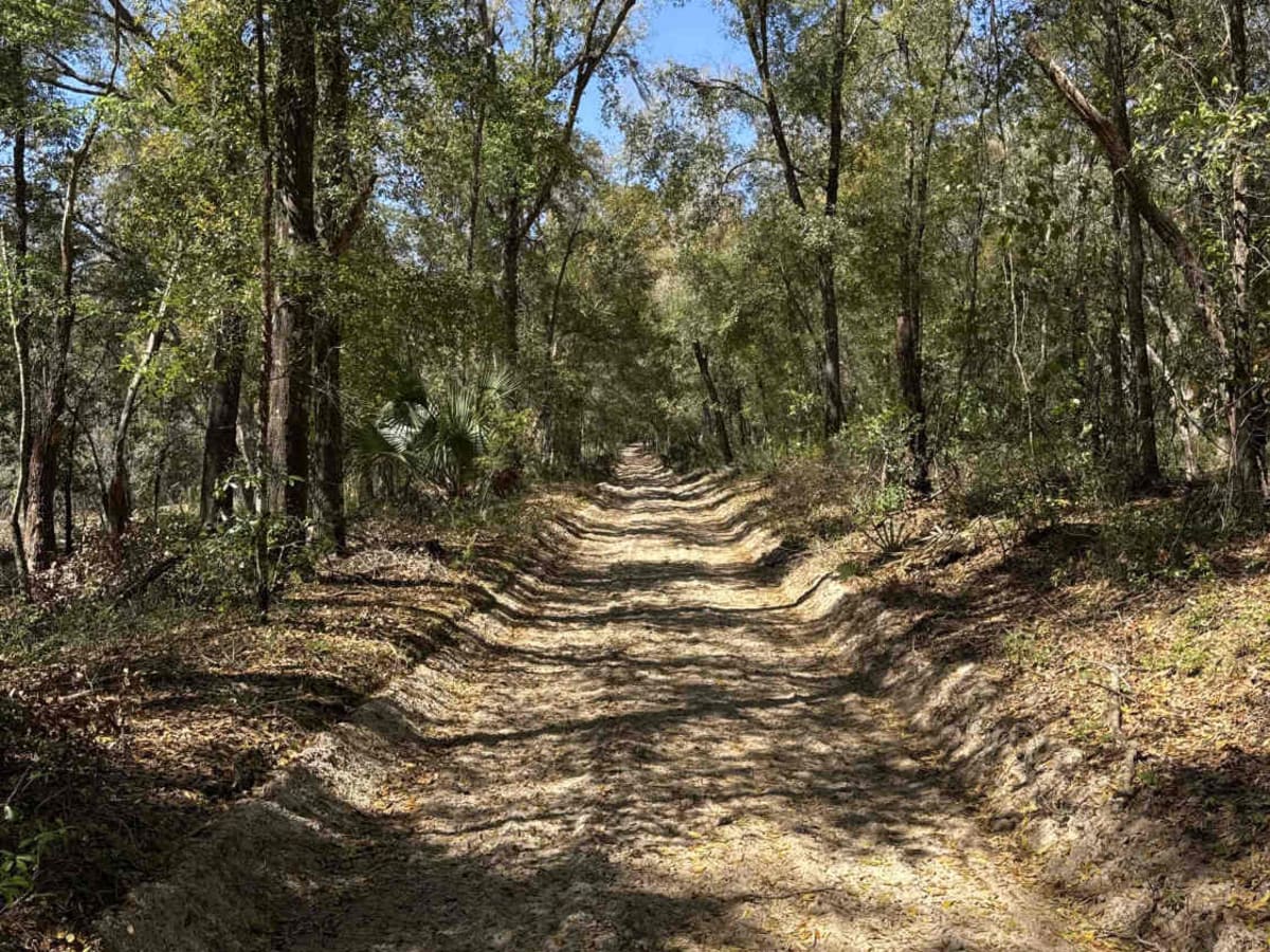 Black Water Creek - ONF 61 trail photo