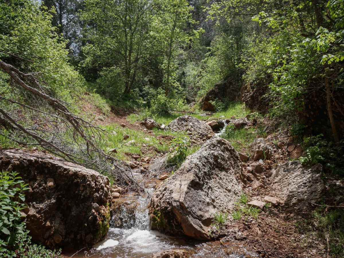 Jocks Canyon photo 4
