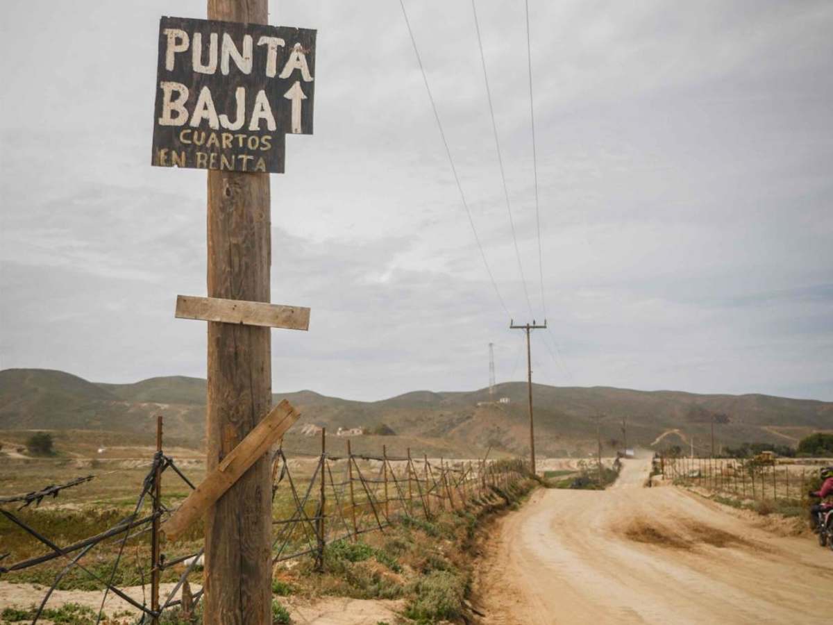 Punta Baja photo 4