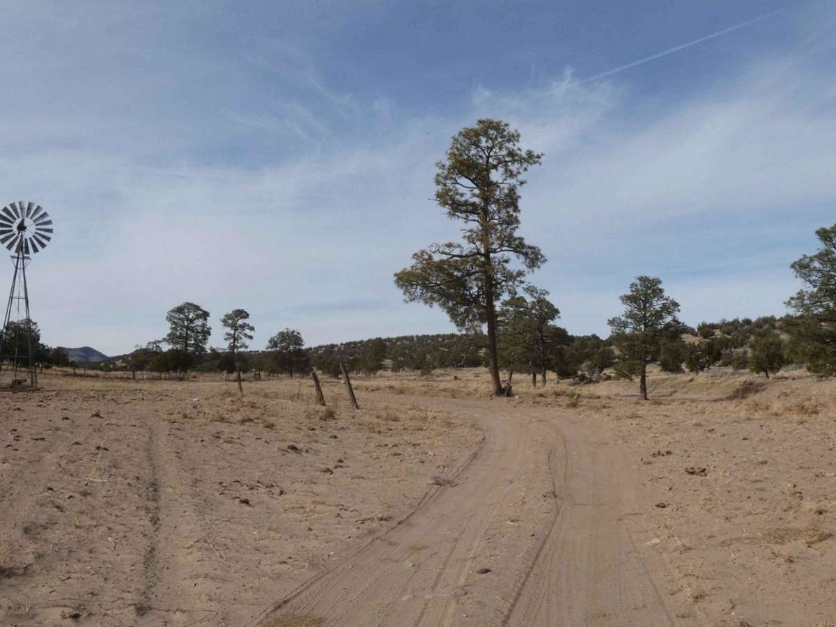 McGee Spring trail photo