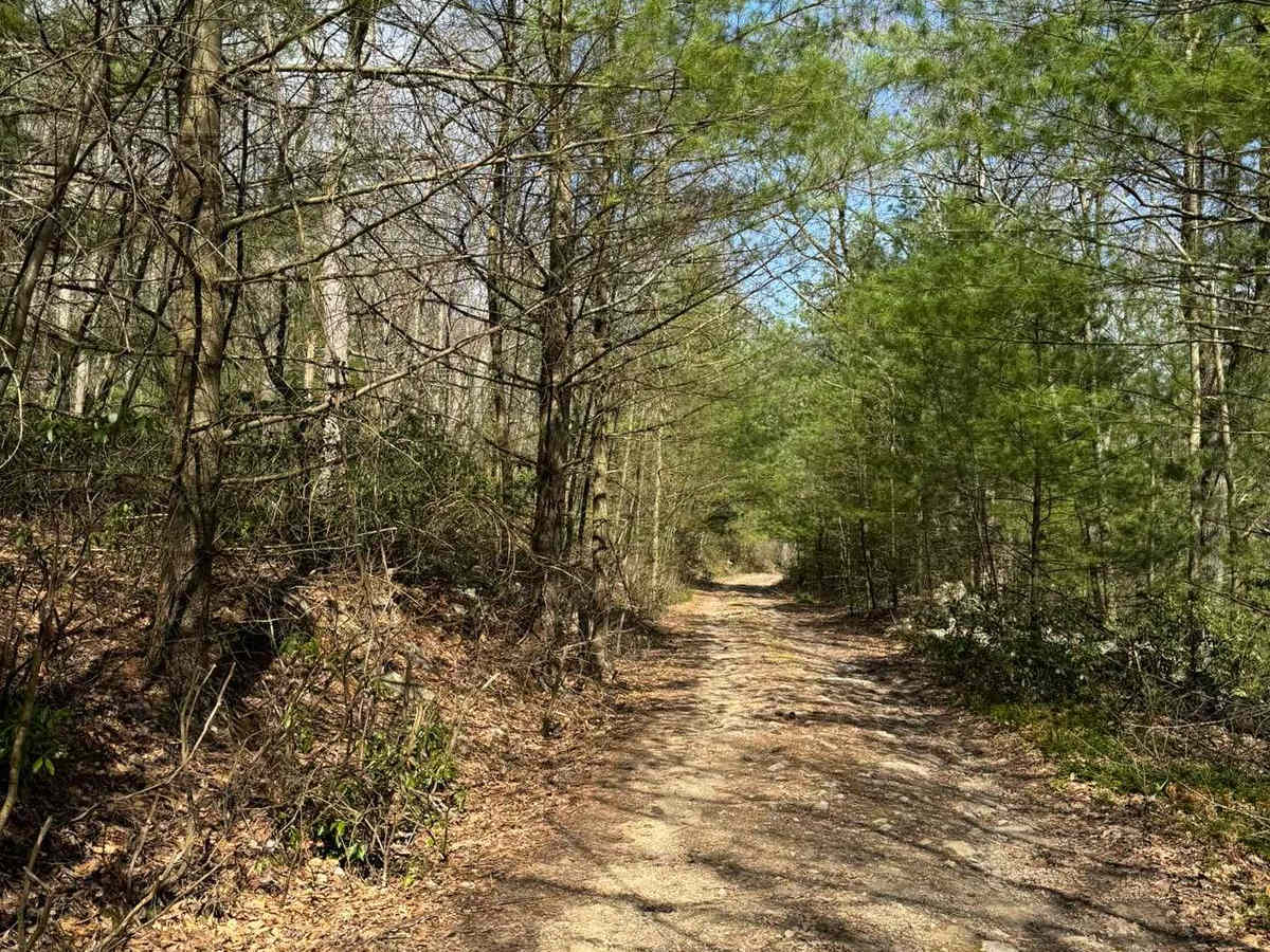 Longwell Draft Road photo 5